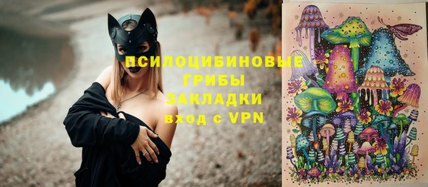 a pvp Алзамай