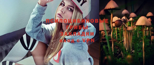 a pvp Алзамай