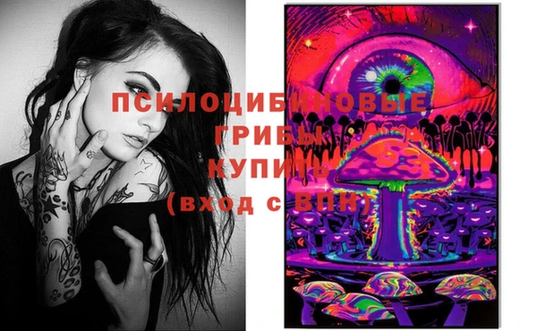 a pvp Алзамай