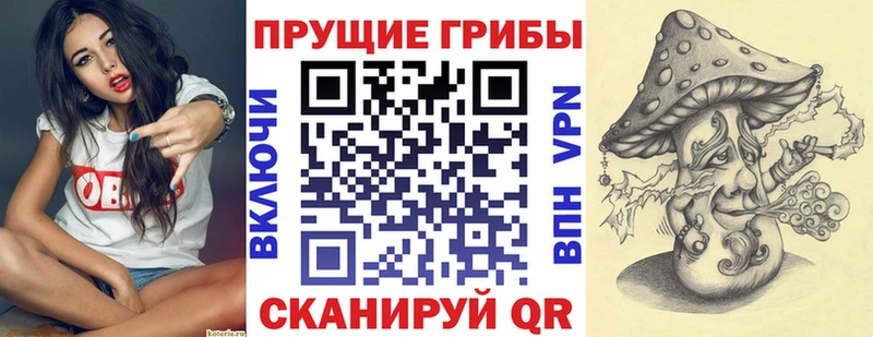 Галлюциногенные грибы Psilocybine cubensis  Первоуральск 