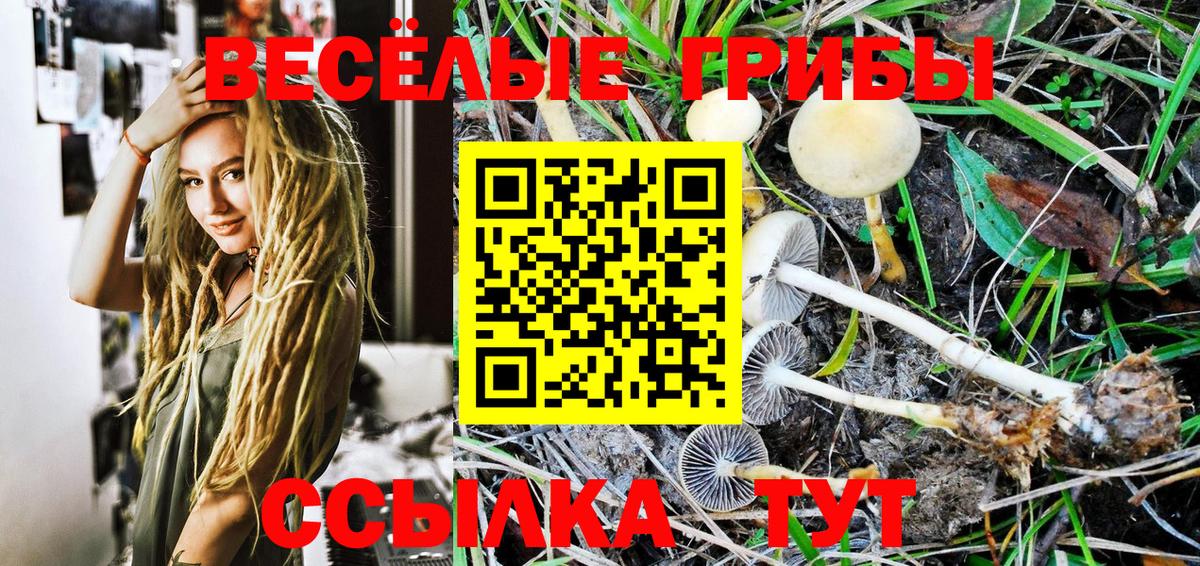 Псилоцибиновые грибы Magic Shrooms  Вход с VPN  как найти   Псилоцибиновые грибы Psilocybine cubensis  Первоуральск 