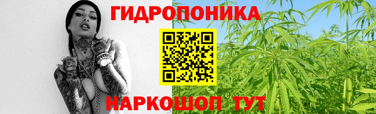 Шишки марихуана VHQ  Вход с VPN  Первоуральск  Бошки марихуана семена  Марихуана OG Kush  МАРИХУАНА гибрид 